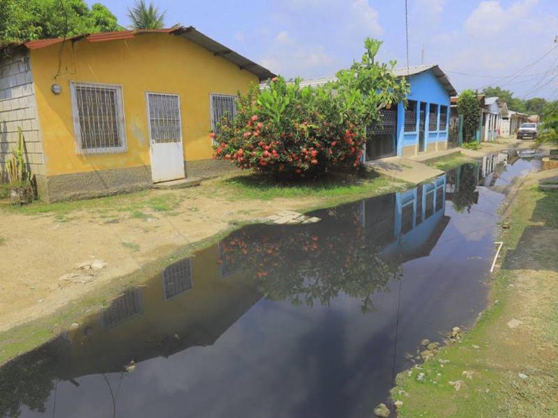 La municipalidad está obligada a resolver el problema de aguas negras en varias colonias de SPS donde ya los pobladores viven verdaderos problemas de salud.
