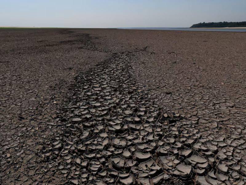 La OIT advirtió que el fenómeno de El Niño debe entenderse no solo como un evento climático, sino como un proceso con impactos que pueden extenderse al empleo.