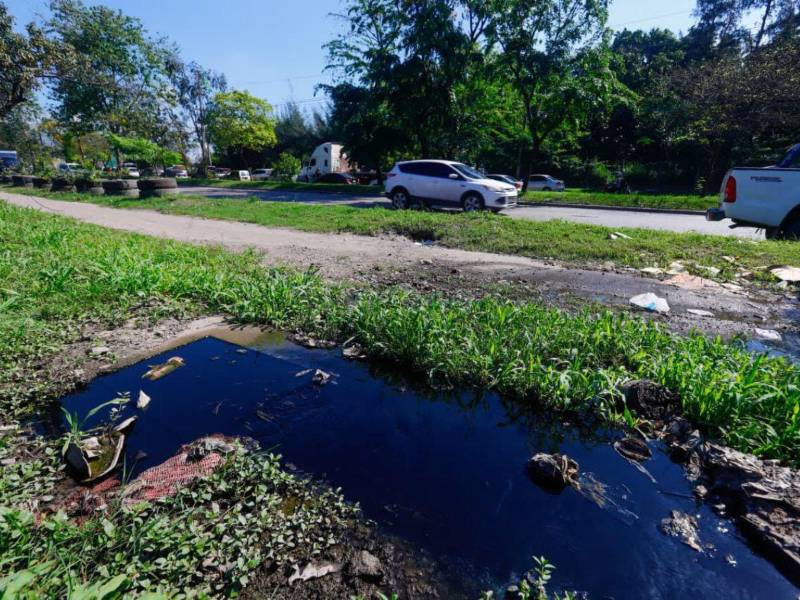 Un derrame de aguas negras en el bulevar del Sur, como 250 metros adelante de la Gran Terminal, está generando contaminación y riesgo a conductores y peatones que transitan por la zona y las autoridades municipales brillan por su ausencia.