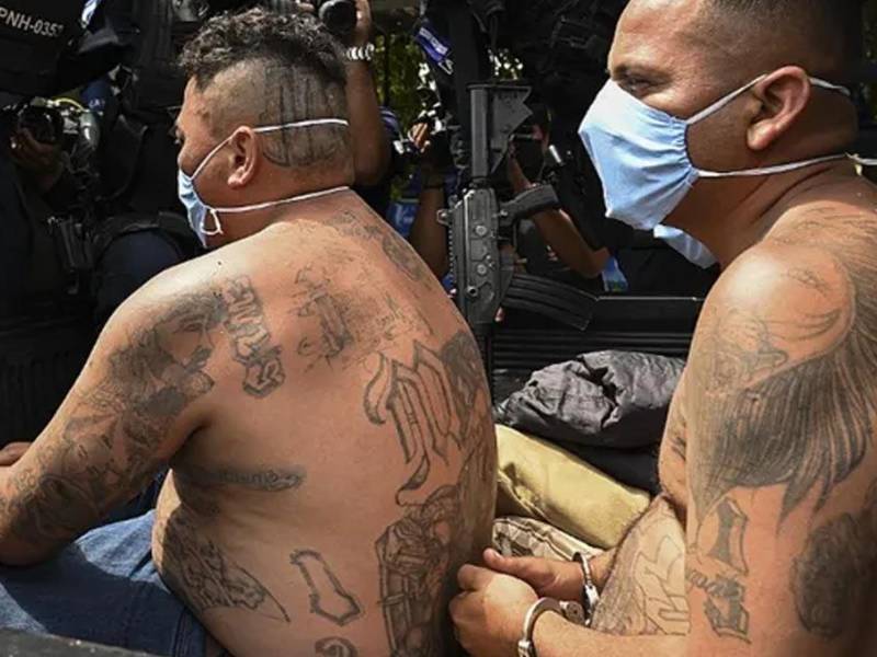 Integrantes de la Mara Salvatrucha (MS-13) Foto:AFP referencial/archivo