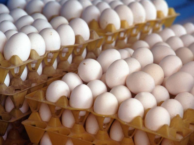 La SDE anunció operativos contra la especulación y el acaparamiento, mientras Senasa mantiene vigilancia en granjas comerciales y aves de traspatio.