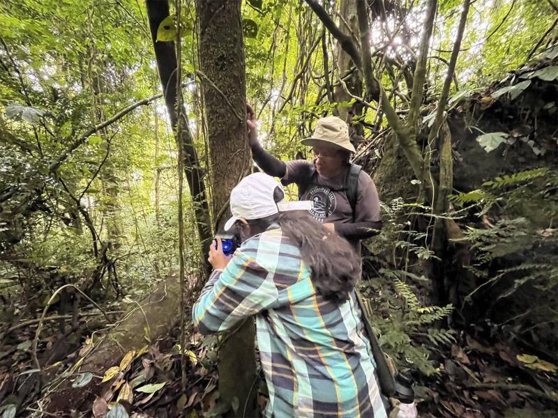 Colocación de cámaras trampa en el refugio para monitoreo por parte de COEAS.