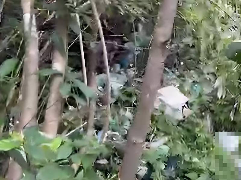 Lugar donde fue encontrado Edwin Amed Baires Durón.