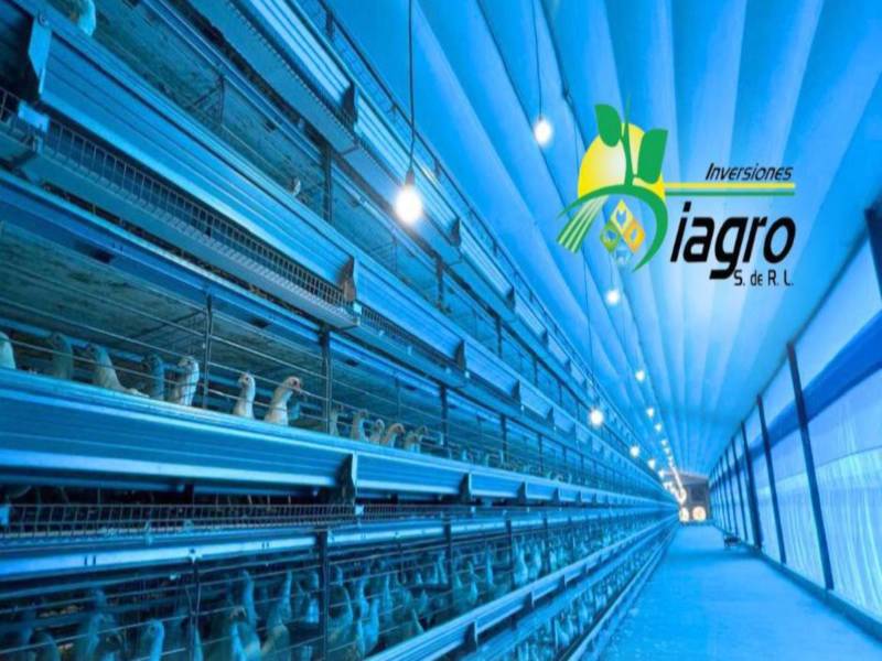 INVERSIONES DIAGRO se dedica a producir y comercializar productos agropecuarios principalmente para la avicultura.