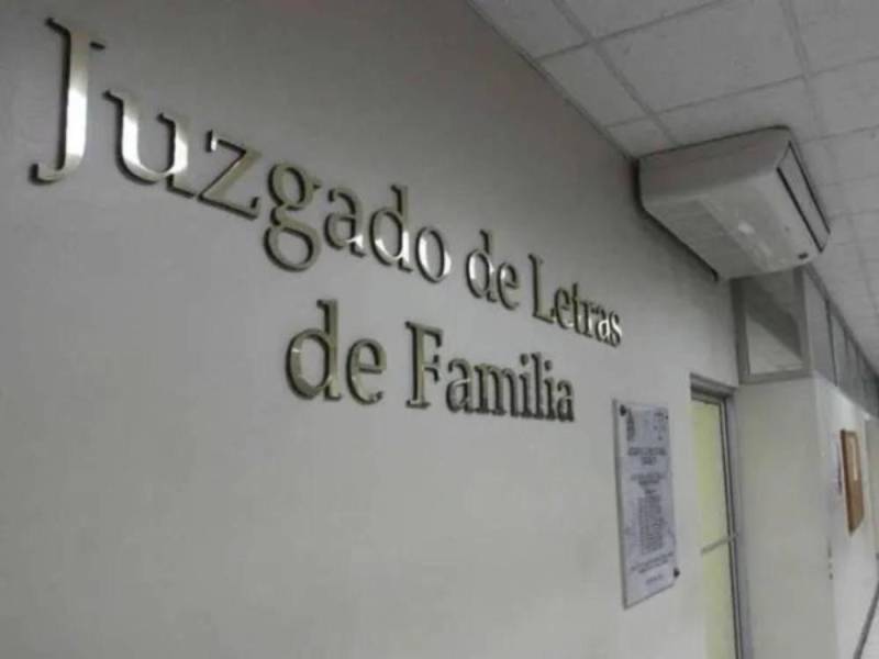 El Registro de Deudores Alimentarios Morosos tiene a 12 padres registrados por no mantener a sus hijos.