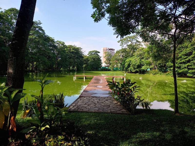 Más de 18 hectáreas de tierra en el sector noroeste de San Pedro Sula, cerca de Río Blanco y de dominio familiar, se transformaron en 2015 en una reserva natural. En junio de 2024 se alcanzó un logro histórico: la declaratoria como Reserva Natural Perpetua, la primera en la ciudad con esta categoría.