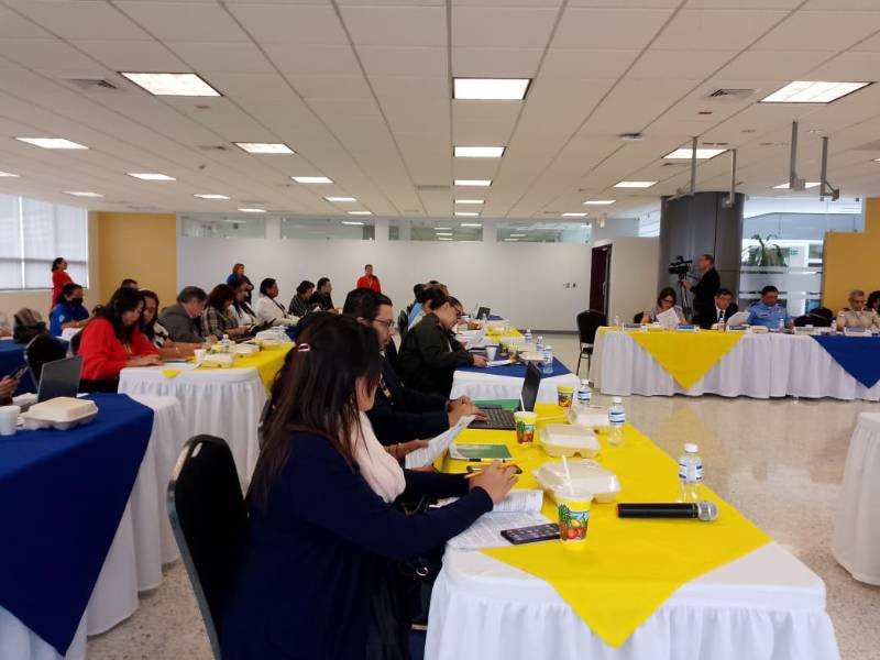 El Consejo de Educación Superior (CES) lo conforman las 22 universidades públicas y privadas del país.