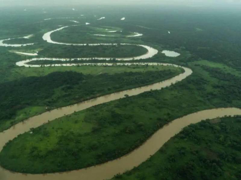 Al menos 1.768 hectáreas de la zona núcleo de la biosfera del <b>Río Plátano</b> han sido afectadas por acaparamiento de tierras.