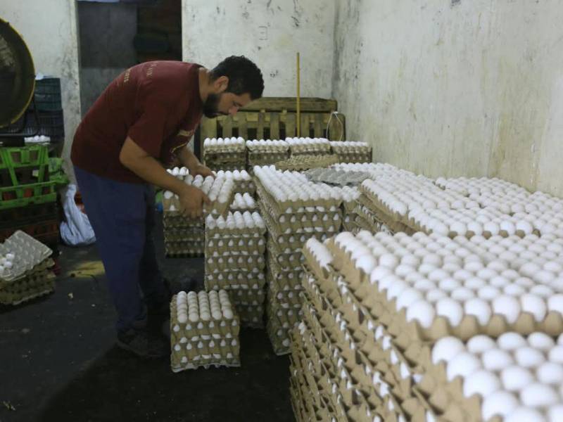 Las distribuidoras de San Pedro Sula mantienen los precios del cartón de huevos tras el incremento registrado durante la semana.