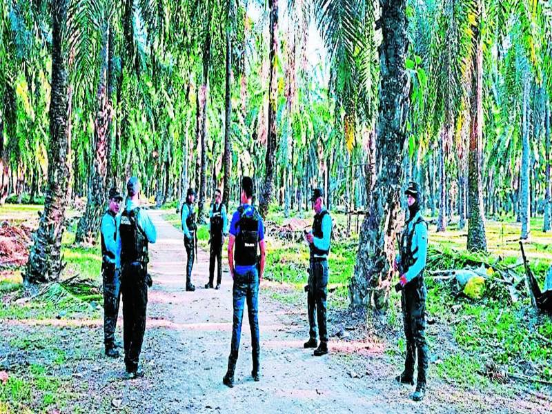 Agentes de la Policía quedan en custodia de algunas fincas recuperadas por las autoridades.