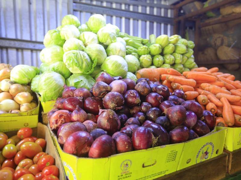 Los vendedores de los mercados sampedranos reportan cambios constantes en los precios de las verduras. Aunque algunos productos han bajado, otros continúan aumentando, una situación que mantiene atentos a los consumidores previo al cierre de año.