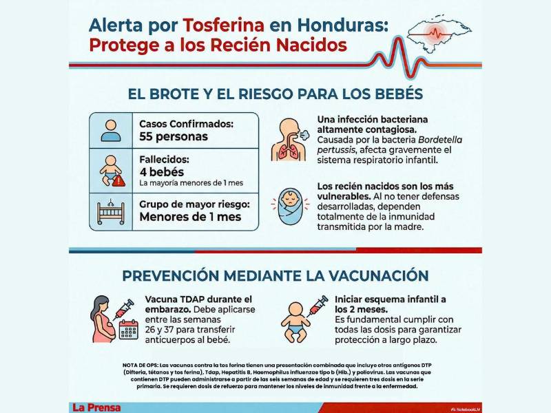 Tosferina deja cuatro bebés muertos en Honduras en 2026