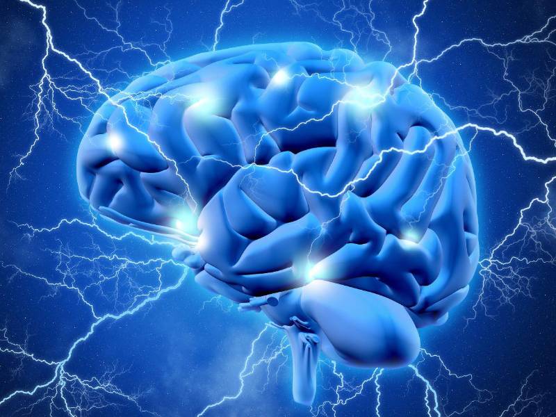 Hay dos grandes tipos de crisis epilépticas: las generalizadas, que surgen en redes de neuronas distribuidas por los dos hemisferios del cerebro, y las focales, que son aquellas que se originan un solo hemisferio.