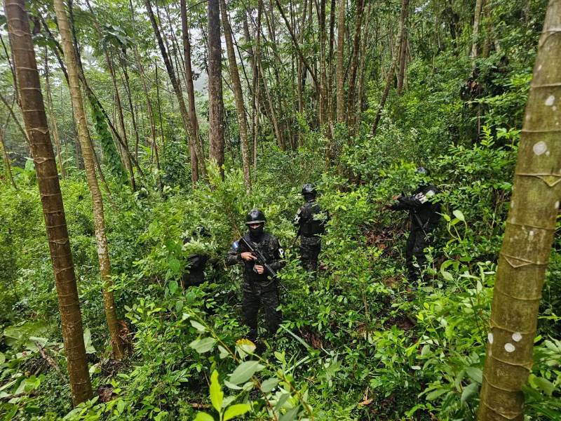 Al notar la presencia militar, quienes custodiaban el sector se dieron a la fuga. En el perímetro solo se encontraron campamentos improvisados y vestigios que evidencian la actividad ilícita