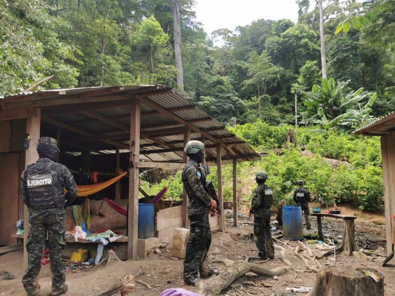 Militares hallaron el narcolaboratorio en una zona montañosa de Colón.