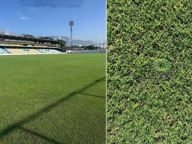 La cancha del estadio Morazán de San Pedro Sula está quedando impecable y ya se conoce cuándo se podría estrenar nuevamente en la Liga Nacional de Honduras.