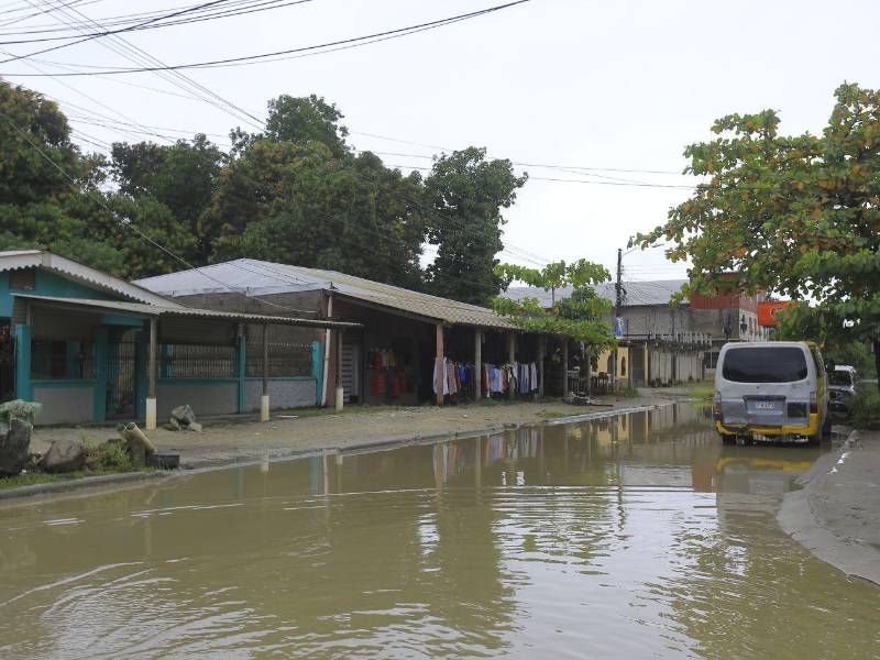 Las aguas estancadas en la colonia Brisas del Sauce, en el sector Rivera Hernández, generan malos olores y preocupación entre los vecinos, quienes solicitan una intervención urgente para evitar riesgos a la salud.