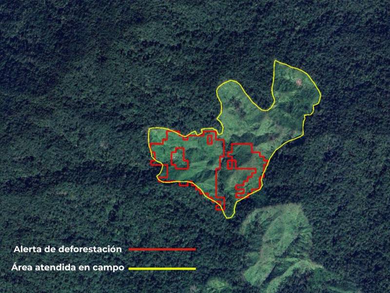 El app móvil “Alerta Bosque”, está inspirada en Forest Watcher de GFW, pero desarrollada por el ICF.
