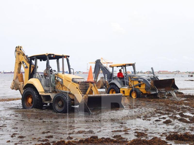 Las autoridades municipales trabajan desde el fin de semana en una amplia jornada de limpieza para retirar el sargazo acumulado en las playas.