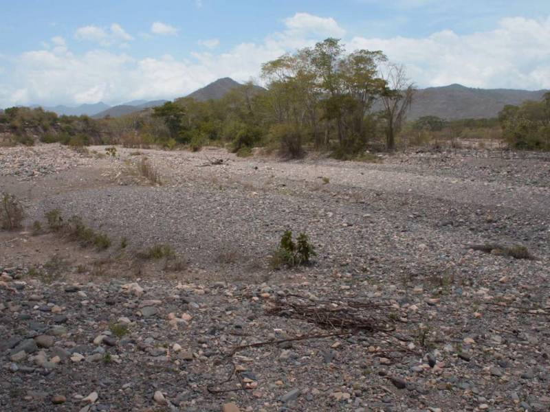 El Corredor Seco figura entre las áreas prioritarias para la intervención, debido a las pérdidas agrícolas y la reducción de disponibilidad de agua provocadas por la falta prolongada de lluvias. Los ríos están secos.
