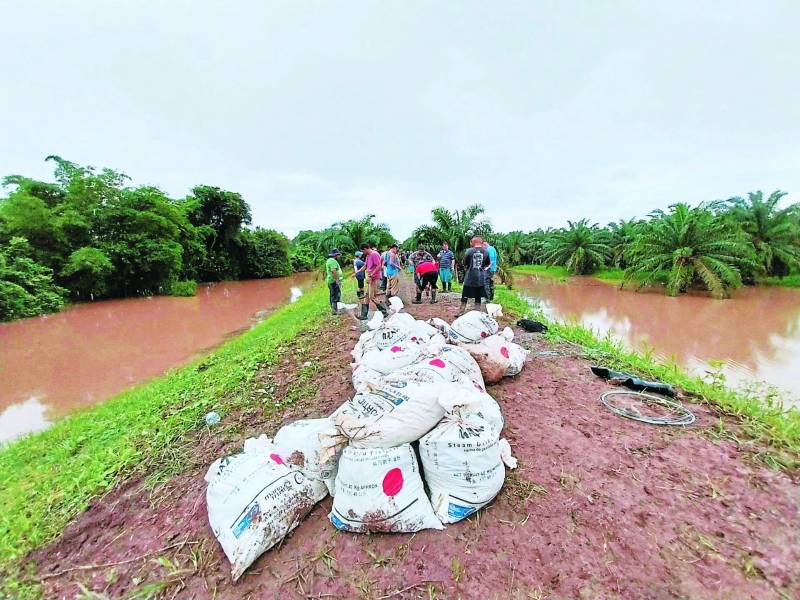 Pobladores luchan para intentar reparar los bordos que, si ceden, serán la confirmación de nuevas y graves inundaciones en la zona.