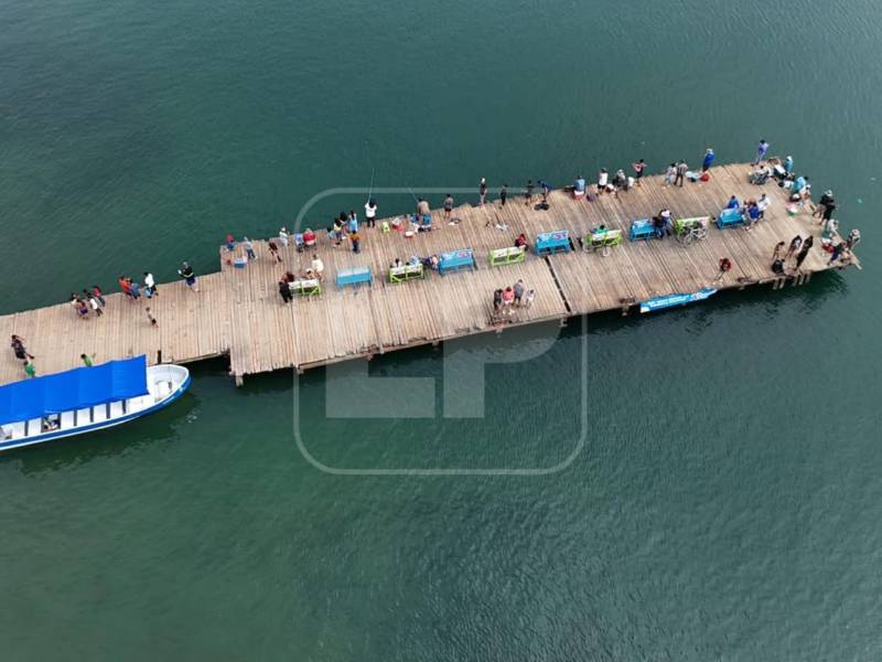 La negativa que ha recibido el proyecto del muelle enmarca varias razones: una es por el beneficio de la exoneración de impuestos que la legislación contempla; el impacto ambiental que conllevaría su construcción y por el impacto negativo en el rubro hotelero, ya que según representantes, dejaría de ser un atractivo de la zona costera.