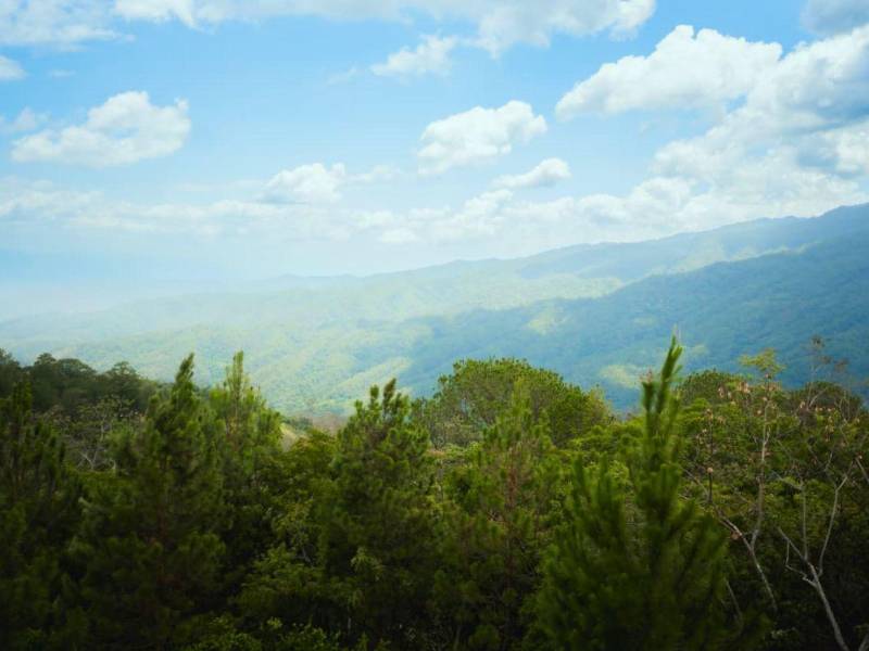 Cervecería Hondureña y Coca-Cola ejecutan el programa Merendón: Patrimonio de Agua y Vida, una iniciativa que busca proteger la reserva natural de San Pedro Sula.