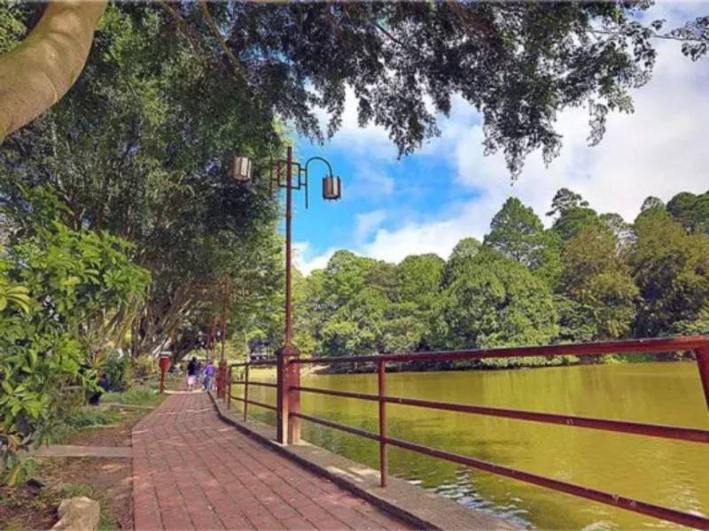 A pocas horas de Tegucigalpa se encuentra una ruta de pueblos pintorescos que puede ser una opción para disfrutar el Feriado Morazánico 2026. Entre montañas, calles empedradas y arte, estos destinos ofrecen una escapada para conocer el encanto de la capital de Honduras.