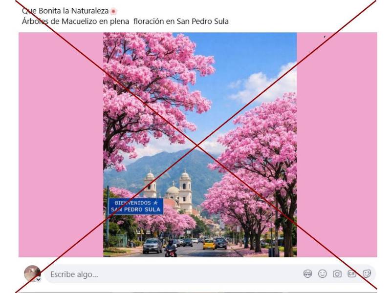 Captura de pantalla a uana publicacion de Facebook hecha el 6 de marzo de 2026.