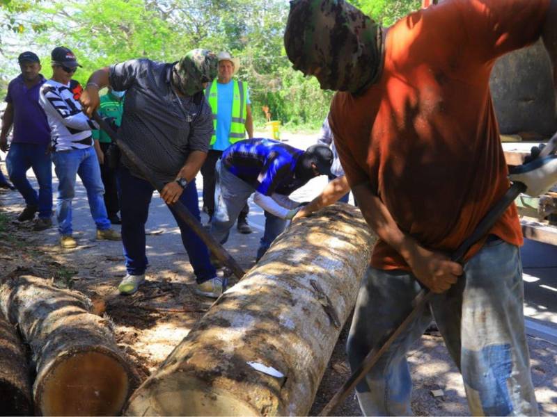 La Policía Municipal decomisó la madera de color con que se desarrollaban productos en las inmediaciones del bordo del río Santa Ana.