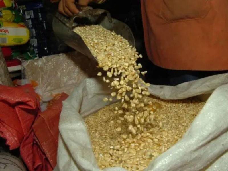 El maíz es un alimento básico de alto consumo en Honduras.