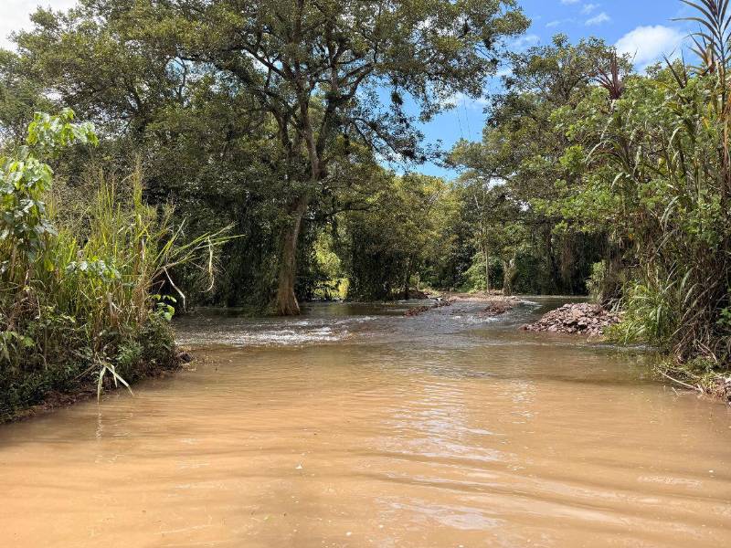 La calle que conecta las comunidades de La Pita, Buena Vista y Laguna Seca, así como los sectores que conducen hacia Comayagua, quedó prácticamente convertida en un río debido al desbordamiento del lago de Yojoa, cuyo caudal mantiene inundada la vía.