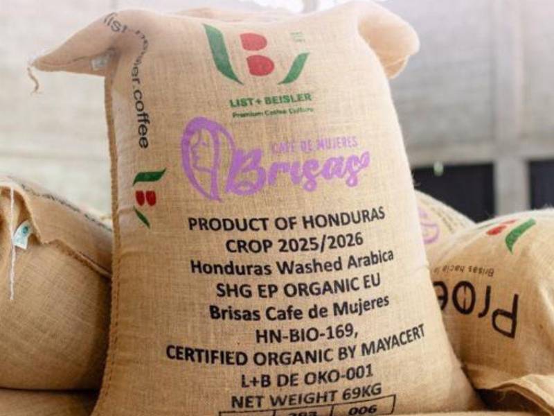 Entre los exportadores de café a Alemania están las mujeres socias de la empresa Proexo, quienes recientemente enviaron a ese mercado más de 420 sacos de 46 kilos de café.