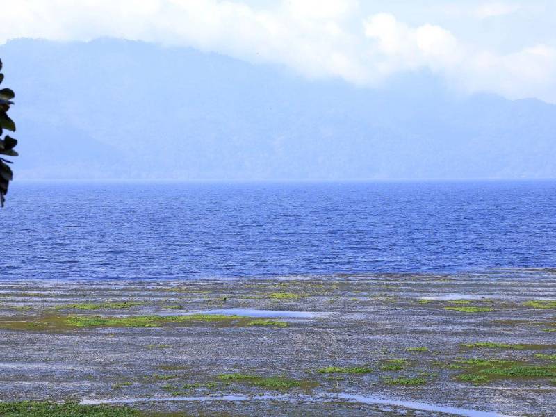 Entre montañas verdes, brisa fresca, rica gastronomía y una riqueza natural, el Lago de Yojoa se posiciona como una de las mejores opciones para escapar de la rutina durante esta Semana Morazánica 2026. Recorridos en kayak, cabañas y senderos para caminar forman parte de las actividades que ofrece este destino, ideal para disfrutar de la belleza natural y conectar con los paisajes de Honduras.