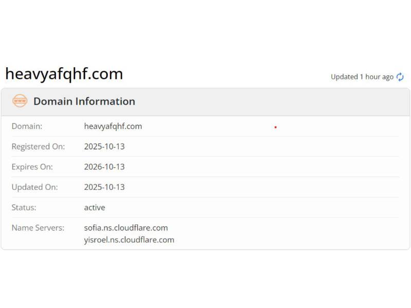 Captura de pantalla al resultado de análisis de Whois sobre el dominio falso.