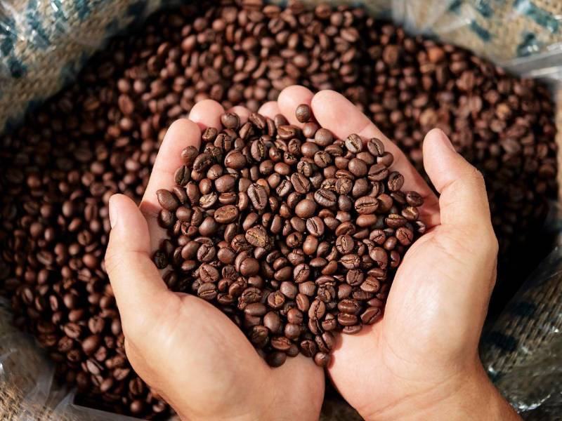 El café de Honduras tiene aceptación en EE UU y la UE.