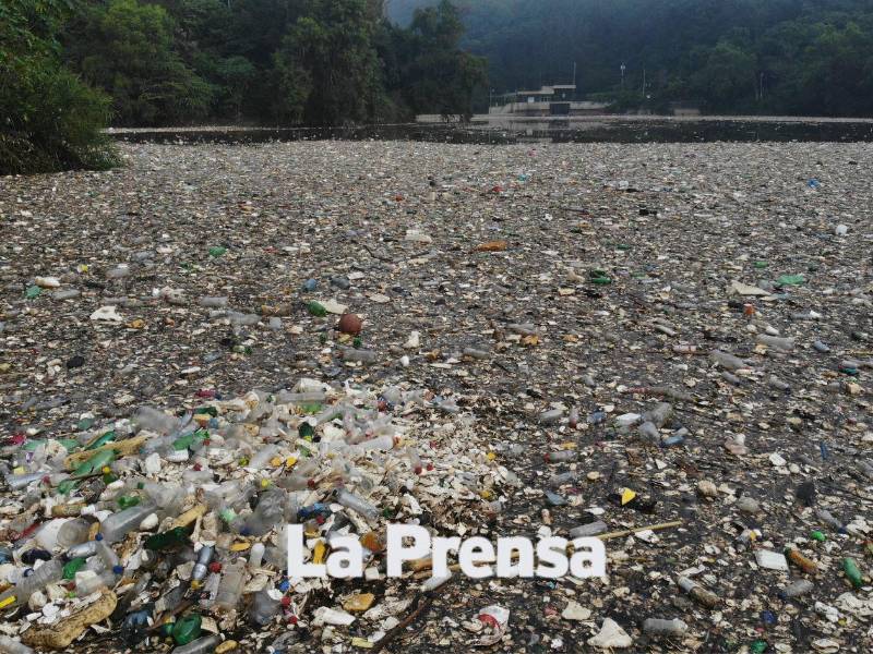 LA PRENSA constató en Guatemala el alto nivel de contaminación del río Las Vacas, cargado de basura, aguas residuales y desechos que terminan incorporándose al río Motagua.