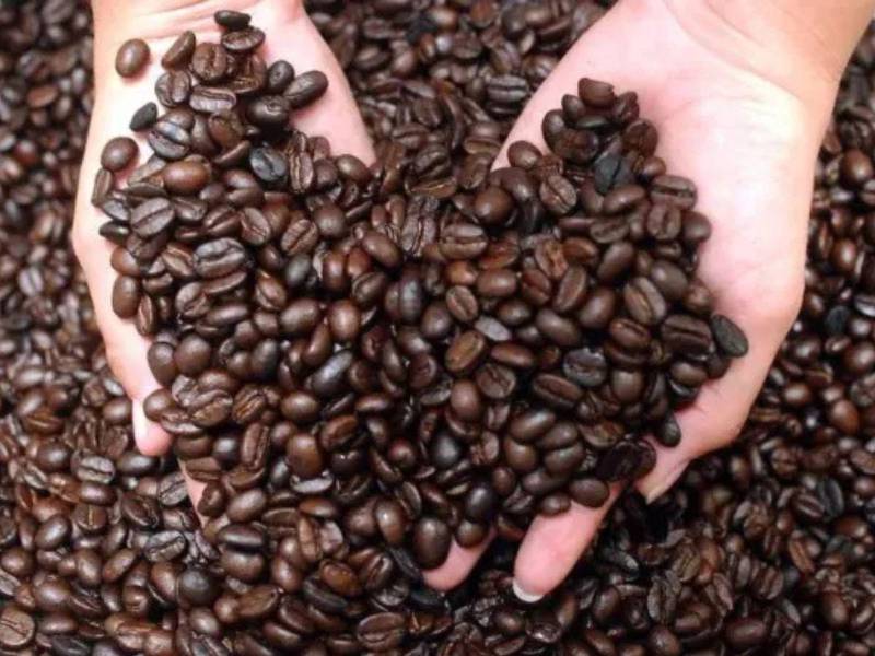 A cuatro meses para que concluya el año cafetero, en septiembre próximo, Honduras ya registra un progreso del 90,4 % en sus previsiones de exportación