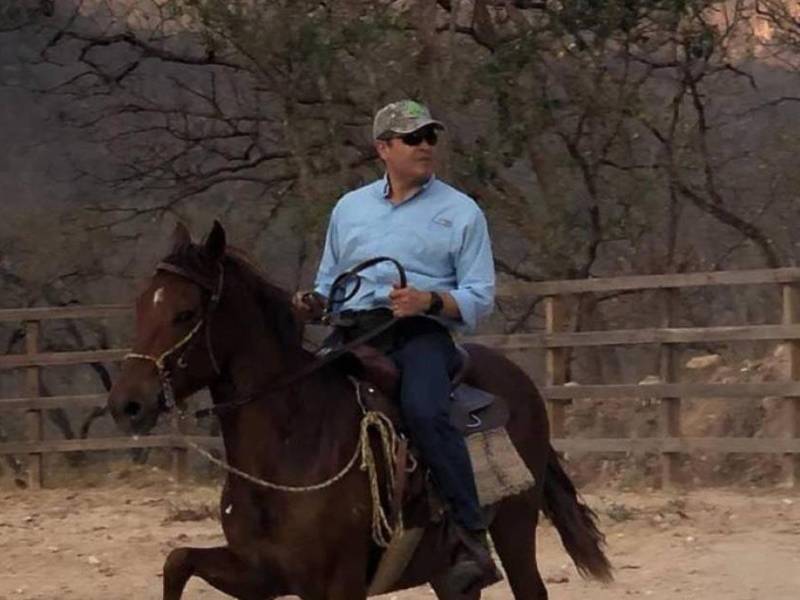 El expresidente de Honduras Juan Orlando Hernández mantenía a sus caballos en sus fincas en tres departamentos.