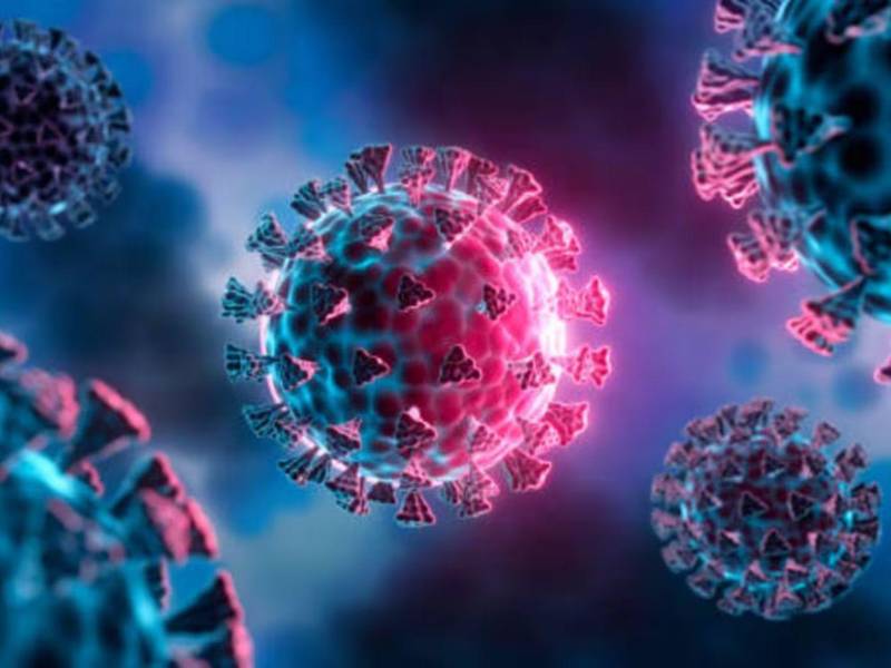 Confirman el primer caso de influenza A H3N2 variante K en Ecuador.