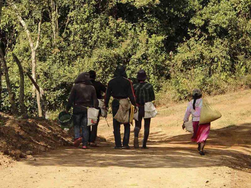 Capturando la esencia de una tradición que perdura a través de generaciones.
