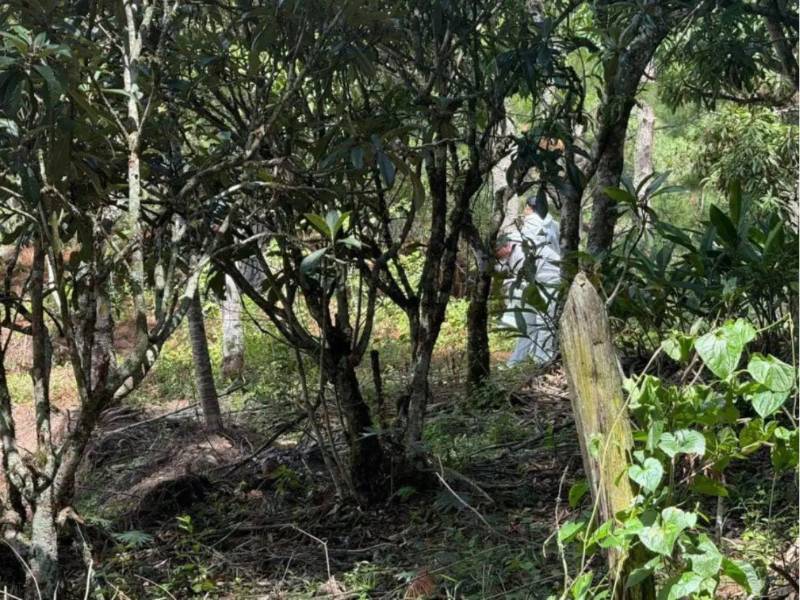 La víctima fue identificada como Víctor Isaías Sánchez Flores, quien había sido reportado como desaparecido.