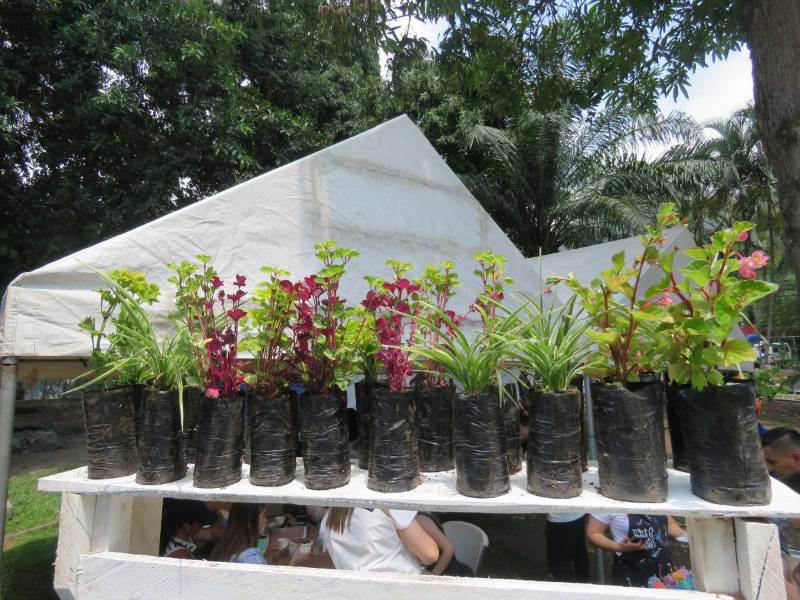 Supermercados Colonial celebra el Día de la Tierra con arte y naturaleza