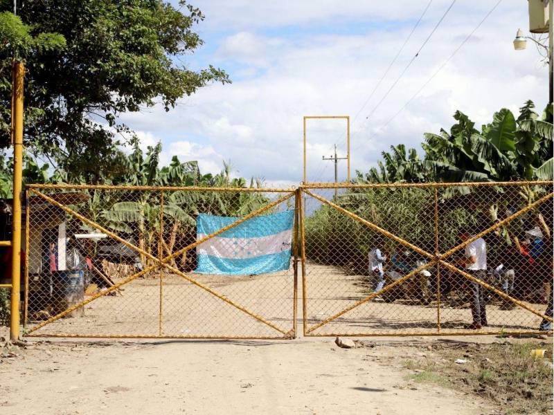 La invasión de tierras en Honduras es una problemática que tiene dcadas y parece ir en aumento.