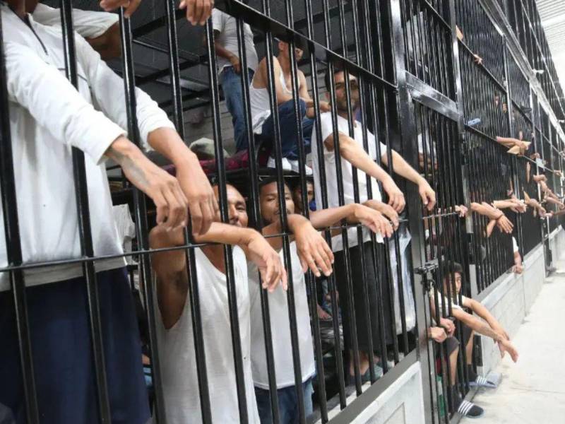 Autoridades reducen llamadas en penales con bloqueadores israelíes y restricciones satelitales.
