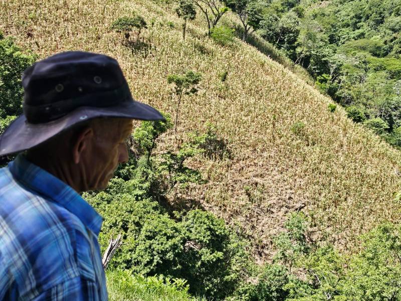 Encarnación García, de 65 años, relata cómo el fenómeno de El Niño y la escasez de lluvias han afectado a los habitantes de la comunidad de El Zompopo, en Gualcinse, Lempira.