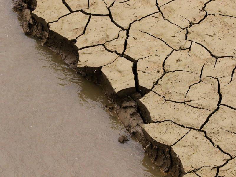 El Niño está cerca, pero todavía no manda sobre el clima, según la lectura más reciente de la Administración Nacional Oceánica y Atmosférica de Estados Unidos (NOAA).