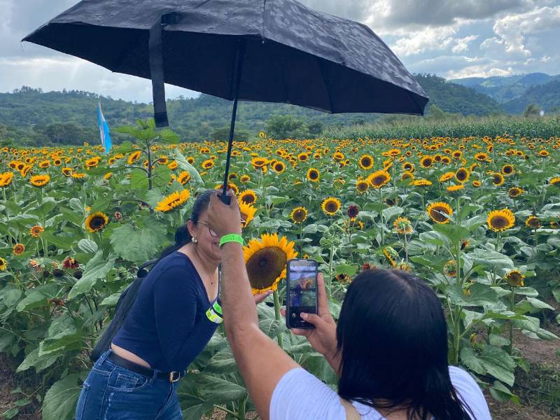 Turistas nacionales y extranjeros visitan El Paseo de los Girasoles, ubicado en Copán Ruinas, para tomarse fotografías que luego publican en redes sociales.