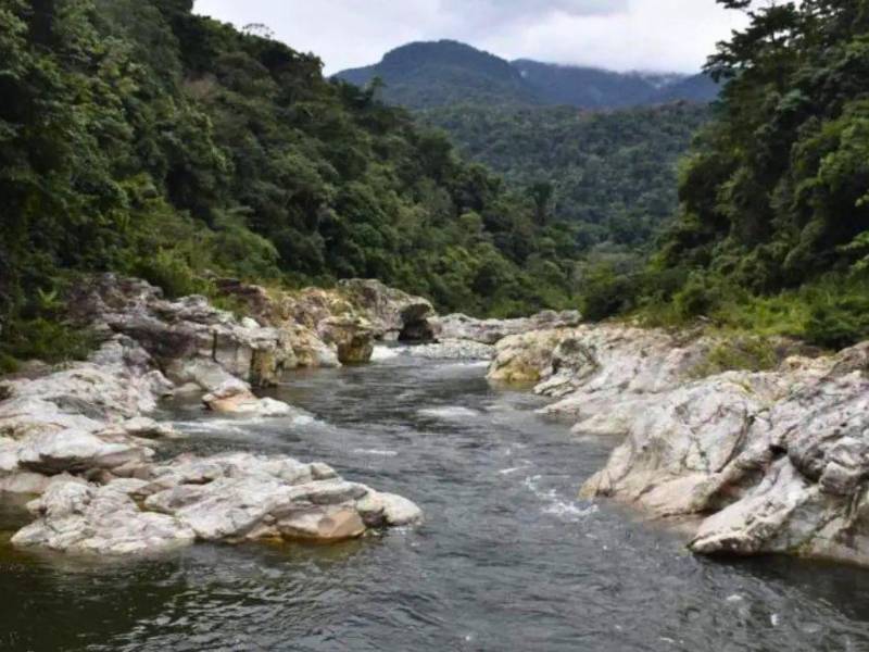 Honduras posee una gran diversidad de ríos que recorren todo su territorio.