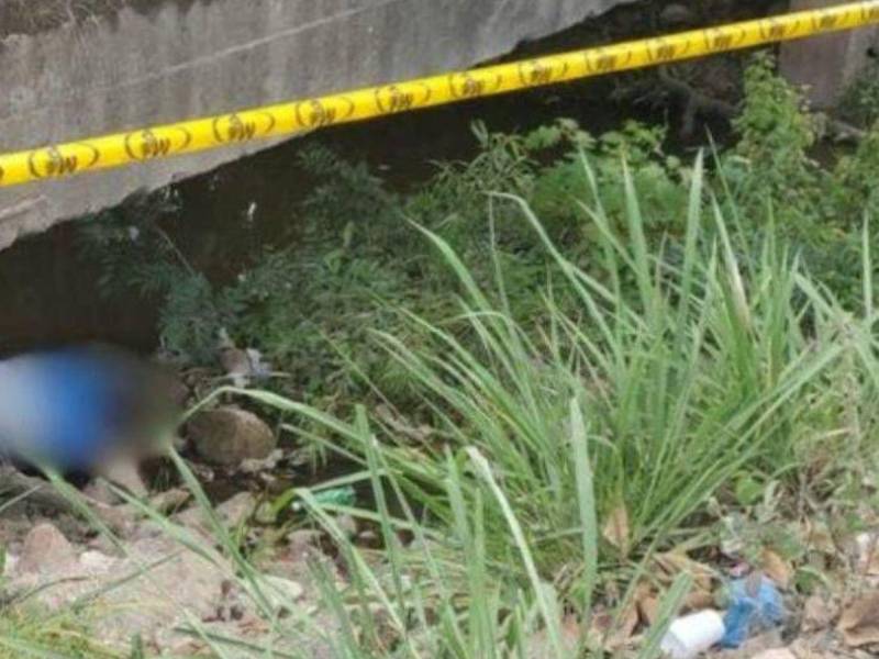 Nuvia fue encontrada<b> encostalada y</b> con un rótulo, bajo un puente en Tegucigalpa.